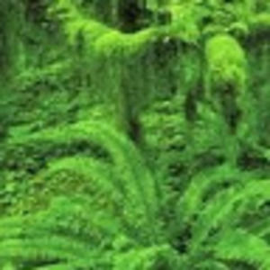 Meet your Posher, Miranda